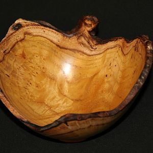 Small burl bowl