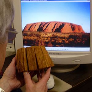 ULURU model study