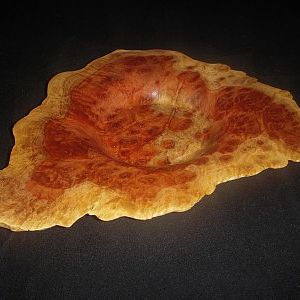 Red Morrell Burl