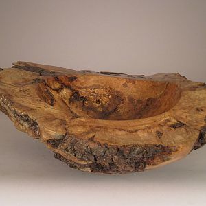 Burl Scape 1