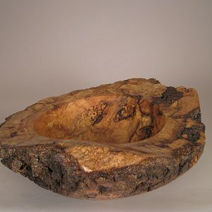 Burl Scape 1