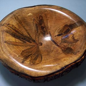 Dragon Fly Bowl