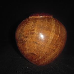 Unknown Burl