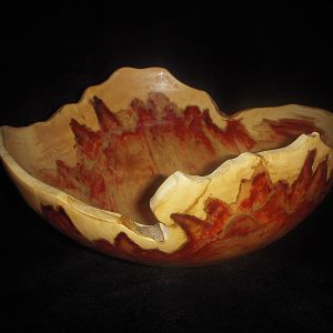 Flame box elder