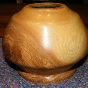 Ash hollow form