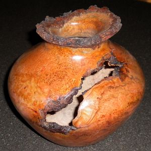 Salvaged Choke Cherry Vase