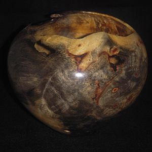 Boxwood Hollow Form