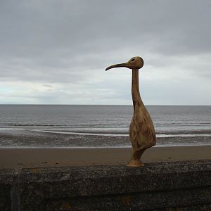 Looking out to sea