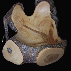 Box Elder Natural Lander