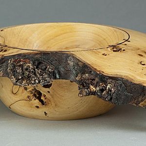 Spalted Ash Burl