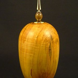 Ambrosia Maple HF with Canary, Morado and Brass Finial