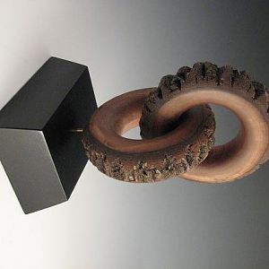 Walnut Bark Rings