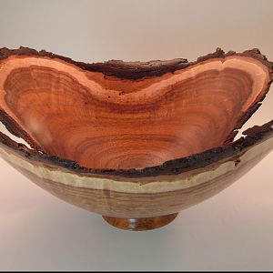 Blackwood Acacia Natural Edge