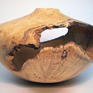 Black Locust Burl Hollow Form