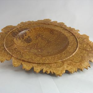 CORRUGATA BURL