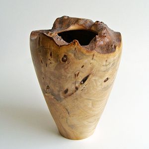 Elm burl vase