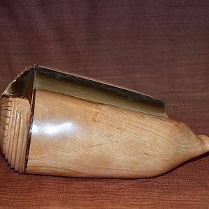 Prototype sea shell