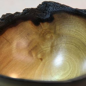 closeup Monticello Poplar bowl