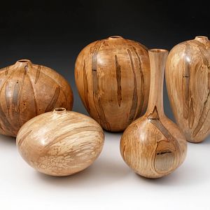 Ambrosia Maple Group