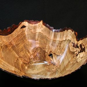 spalted red maple burl natural edge bowl