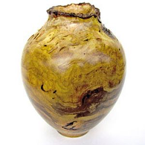 Chinese Elm Vase