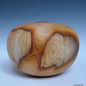 Little yew hollow form
