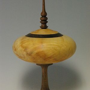 Box Elder/Walnut HF on Pedestal