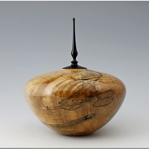 Ambrosia Maple Hollow Form