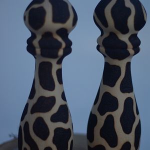 Giraffe pattern