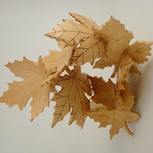 Maple Myriad