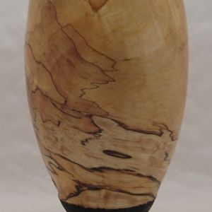 Spalted Birch