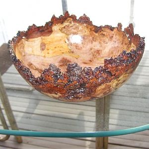 Cherry burl