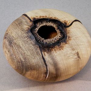 Myrtle hollow form (top)