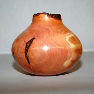 Dogwood NE Hollow Form