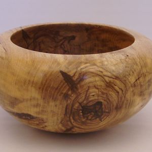 Spalted  American Elm