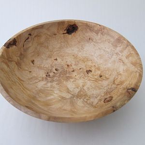 Norway Burl