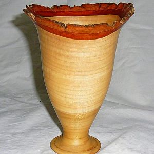 Tulip vase (liriodendron tulipfera)