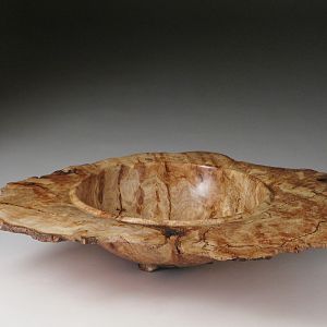 Winged Maple Burl