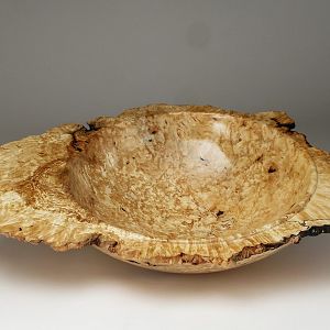 Winged Birch Burl