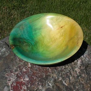12_inch_dia_Boxelder_Maple