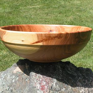 15_inch_Elm