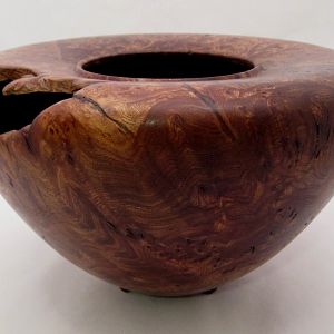 Elm burl