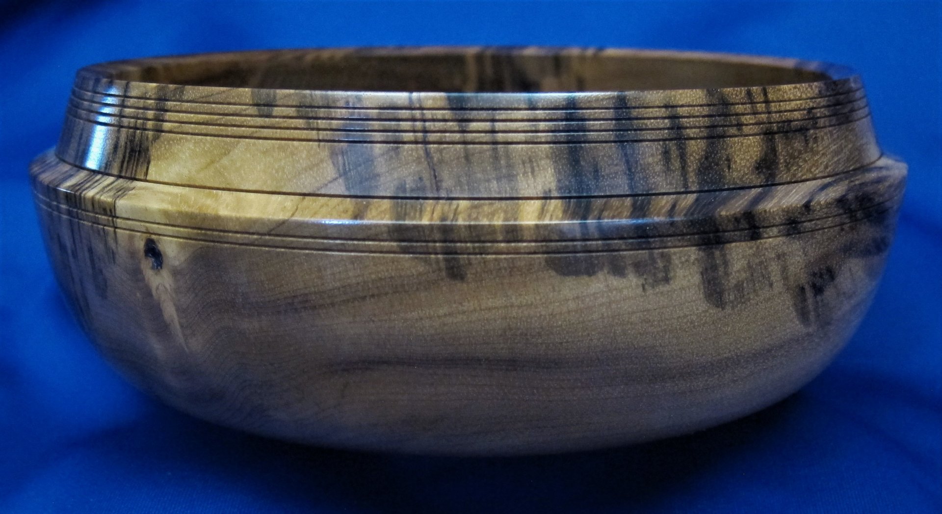 1924 Oregon Tiger Myrtle.