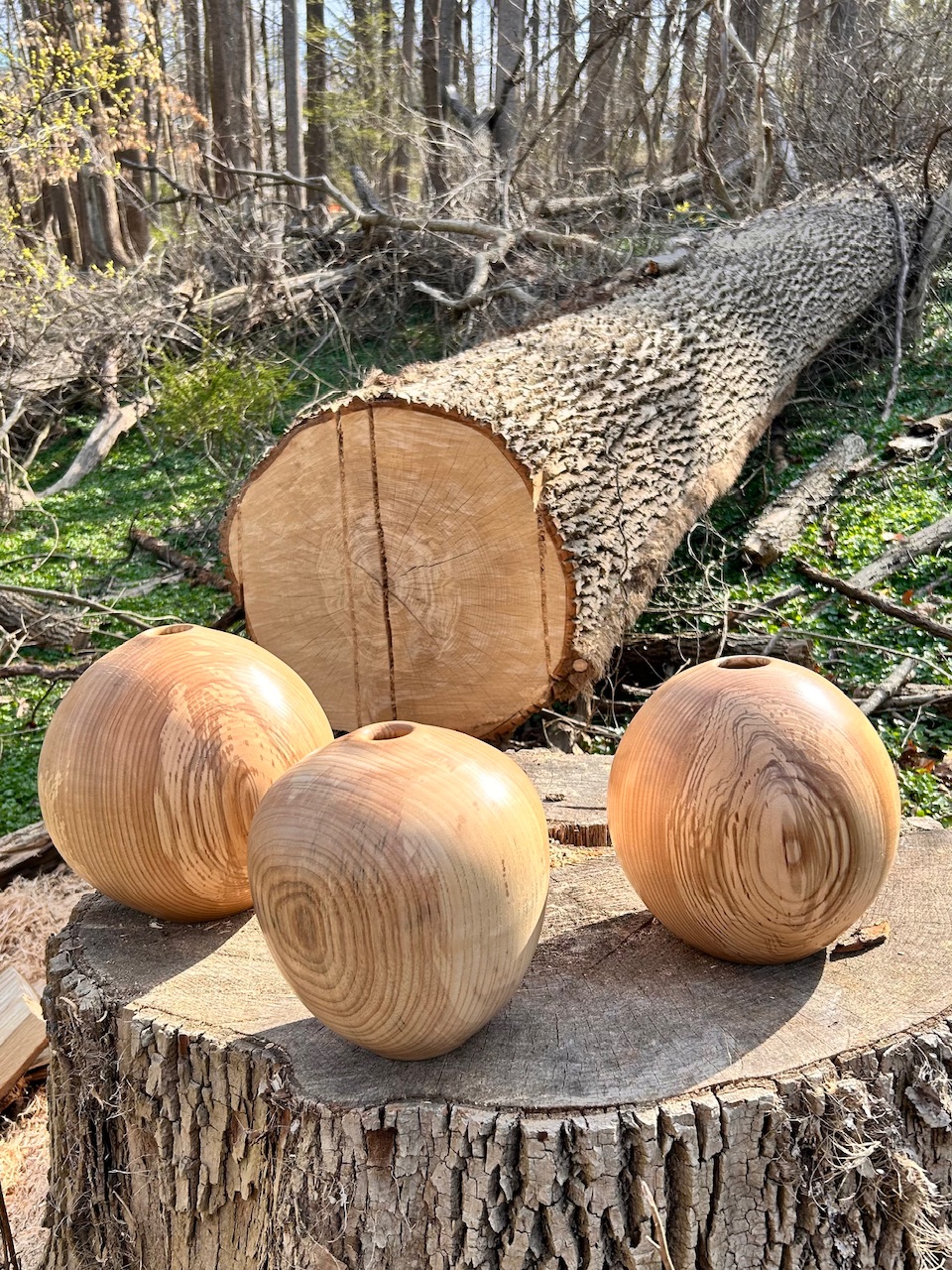 A trio of ash hollow forms, back to visit Momma