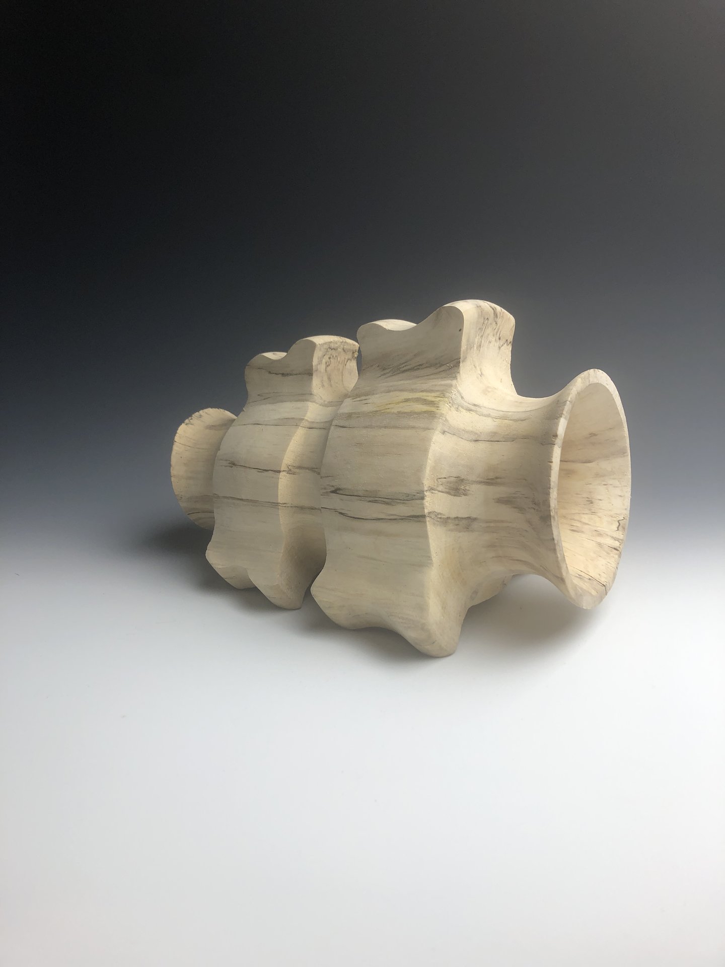 A Whale of a vertebrae