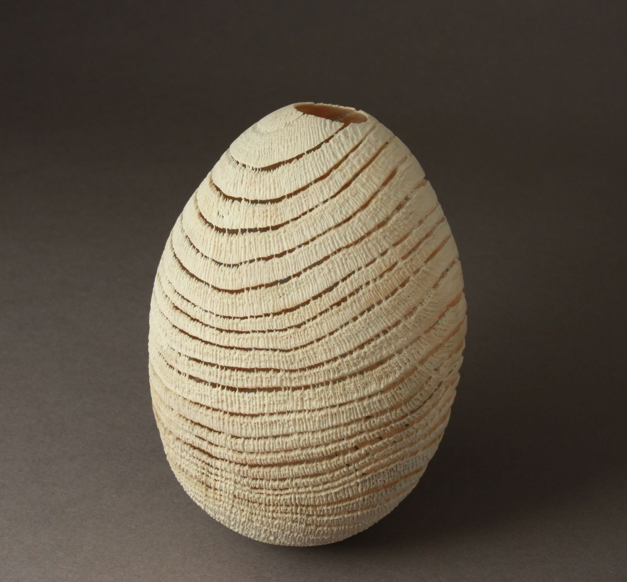 AAW Fall 2009 Contest