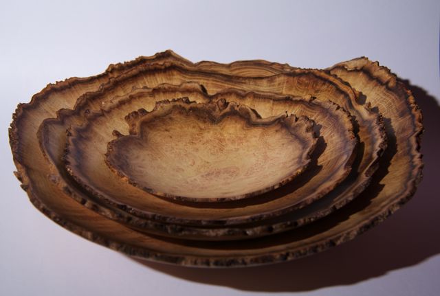 acacia burl