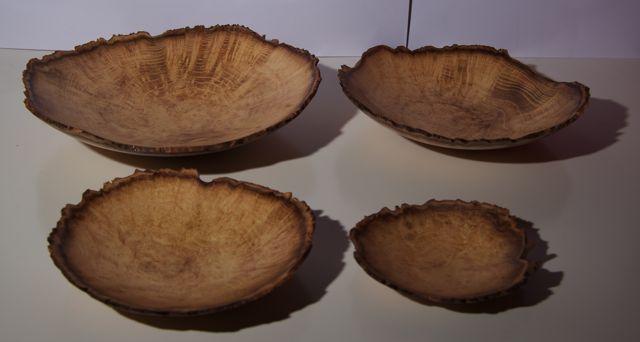 acacia burl