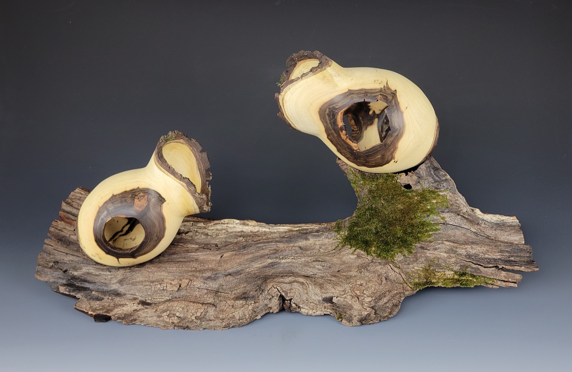 Admiration (Sylvan People Series)