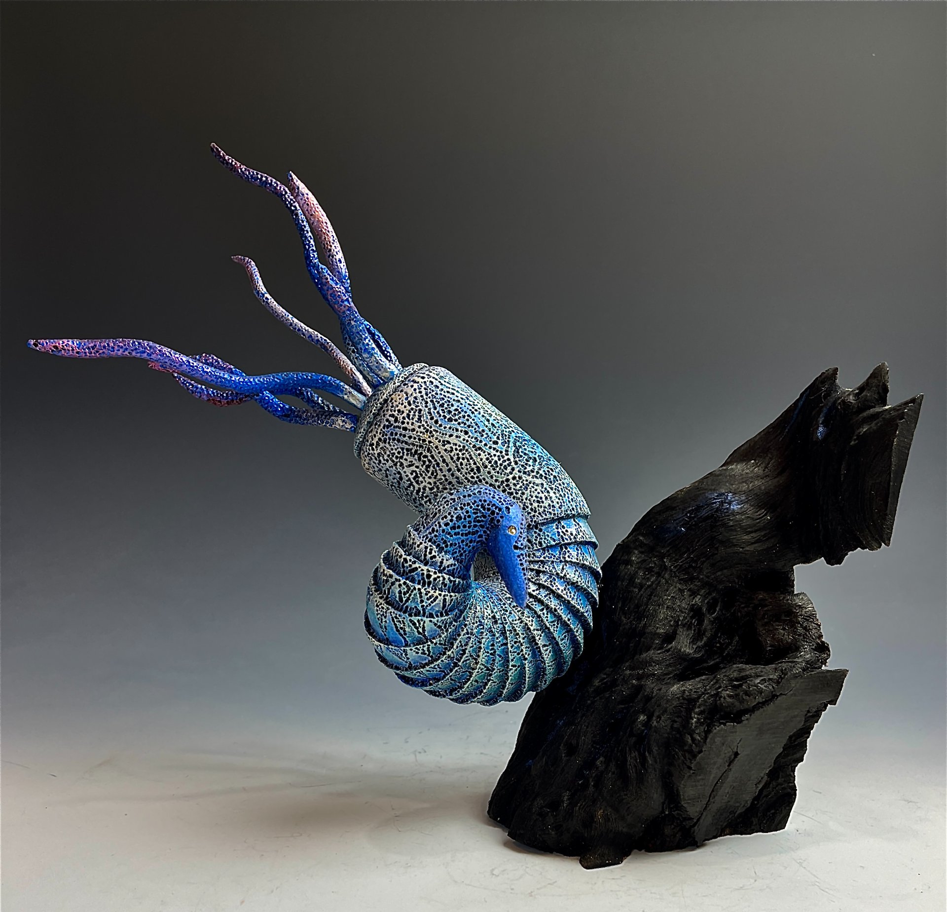 Aether Nautilus
